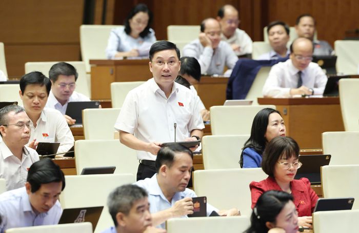  ĐB Lê Hoàng Anh (Gia Lai). Ảnh: QUANG PHÚC 