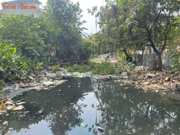 Bà Phạm Thị Nga, người dân sinh sống tại ngõ 39 Tứ Liên, cho biết cứ mỗi khi mưa lớn, gia đình lại thấp thỏm lo nước ngập. "Mưa thì nước cùng rác tràn vào nhà, còn ngày nắng mương bốc mùi rất khó chịu, nhiều hôm phải đóng kín cửa", bà Nga chia sẻ.
