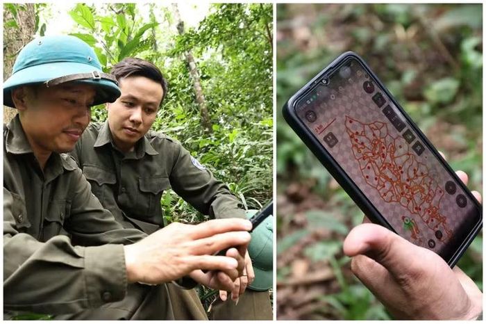 Các khu vực rừng lim được khoanh vùng, cắm mốc định vị để thuận lợi cho công tác quản lý, bảo vệ và theo dõi diễn biến rừng.