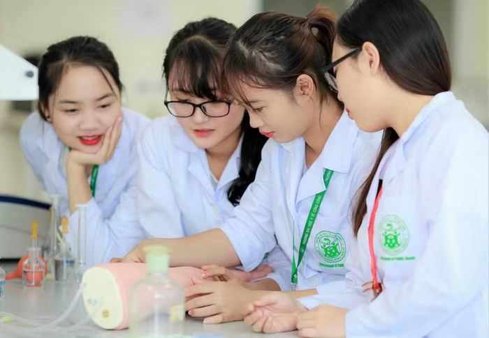 Ảnh minh họa/internet.