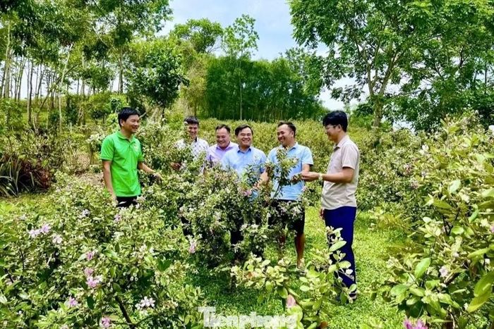 Đoàn công tác của Hội Nông dân tỉnh Nghệ An kiểm tra và đánh giá cao mô hình.