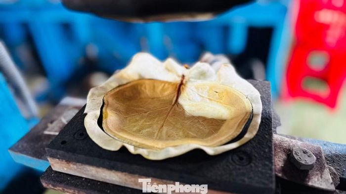 Chỉ hơn 20 giây dưới áp lực và nhiệt độ thích hợp, chiếc lá bàng biển đã "lột xác" thành một chiếc đĩa hoàn chỉnh với màu sắc tự nhiên, những đường gân lá vẫn hiện rõ, tạo nên vẻ đẹp mộc mạc nhưng rất tinh tế.