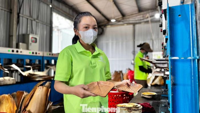 “Đây là sản phẩm có giá trị môi trường rất cao vì tận dụng nguồn nguyên liệu tự nhiên vốn ít được khai thác. Không chỉ góp phần giảm lượng rác thải nhựa, mô hình còn tạo thêm việc làm, nâng cao giá trị các loại cây bản địa và khuyến khích người dân trồng thêm bàng biển để bảo vệ bờ biển, thích ứng với biến đổi khí hậu”, ông Tuấn nhận định.