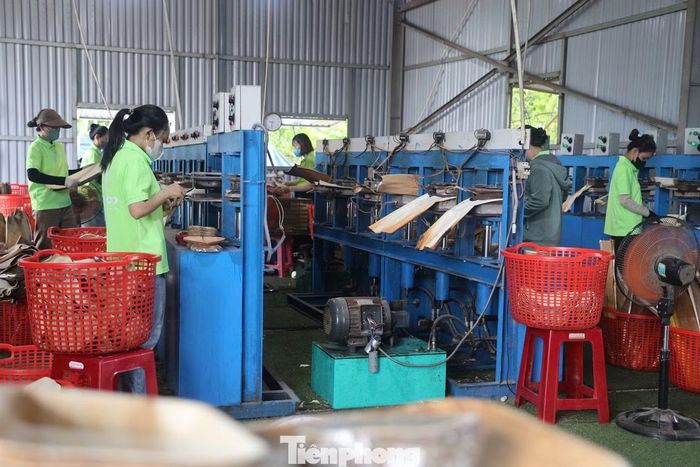“Chỉ trong 6 tháng đầu năm, doanh nghiệp đã tiêu thụ khoảng 1,8 triệu sản phẩm từ mo cau và lá bàng biển, doanh thu đạt khoảng 3 tỷ đồng. Nhà máy hiện tạo việc làm ổn định cho khoảng 30 lao động với thu nhập bình quân từ 6 - 10 triệu đồng/tháng. Ngoài ra, việc thu mua nguyên liệu còn tạo thêm nguồn thu cho khoảng 1.000 hộ dân trên địa bàn tỉnh”, anh Tuyến chia sẻ.