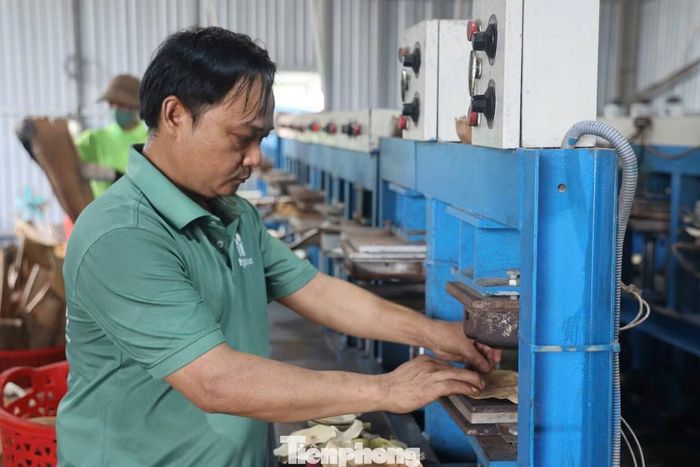 Anh Nguyễn Văn Tuyến cho biết, doanh nghiệp hiện phát triển song song hai dòng sản phẩm là chén, đĩa từ mo cau và lá bàng biển. Nhờ xu hướng tiêu dùng xanh ngày càng phát triển, sản phẩm được khách hàng tại nhiều quốc gia khó tính như Mỹ, Hà Lan, Pháp, Ý... đón nhận, trong đó thị trường xuất khẩu chiếm khoảng 60% doanh thu của công ty.