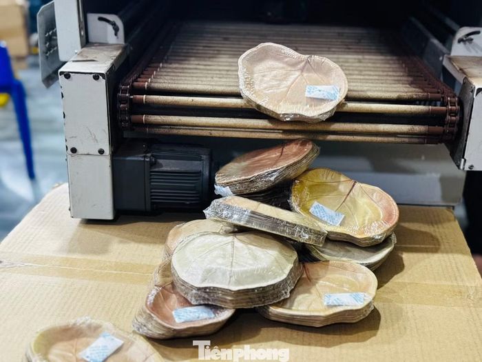 Không dừng lại ở thị trường xuất khẩu, các sản phẩm từ lá bàng biển còn được một số hãng hàng không trong nước lựa chọn sử dụng trên các chuyến bay, cho thấy xu hướng thay thế đồ nhựa bằng vật liệu tự nhiên đang ngày càng được mở rộng.