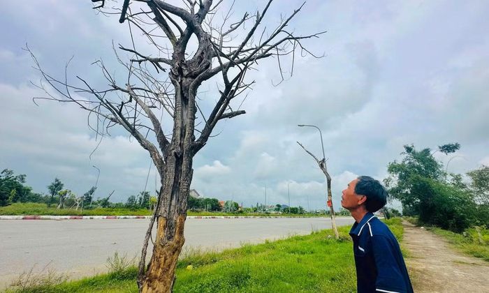 Cả hai dự án do Ban Quản lý Cụm công nghiệp huyện Lộc Hà (cũ) làm chủ đầu tư. Đơn vị thi công là Công ty Xây dựng Tây Nam Bộ. Sau khi thực hiện sắp xếp đơn vị hành chính, cả hai dự án được chuyển giao cho Ban Quản lý dự án Đầu tư xây dựng công trình Dân dụng và Hạ tầng khu vực tỉnh Hà Tĩnh quản lý.