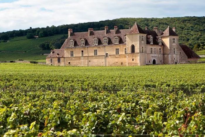 Tranh chấp điền trang Château Miraval vẫn chưa kết thúc sau 4 năm.
