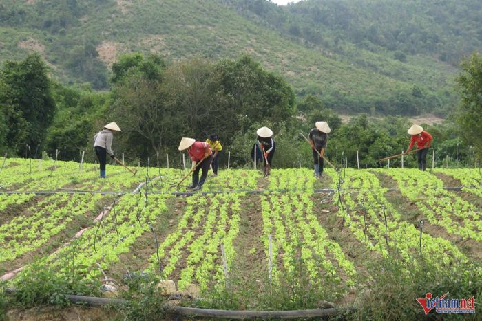 Với đại đa số đồng bào DTTS ở miền núi, khu vực nông thôn, đất sản xuất là tư liệu sản xuất quan trọng nhất. Ảnh: Sỹ Hào