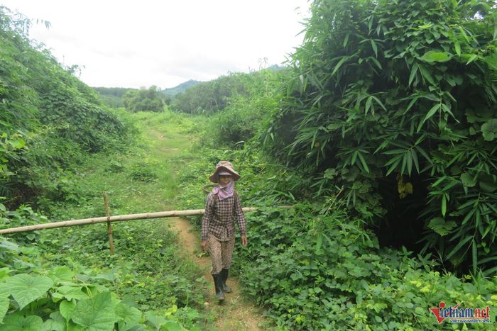 Vùng đồng bào DTTS và miền núi còn nhiều hộ nghèo, cận nghèo do thiếu đất sản xuất. Ảnh: Sỹ Hào