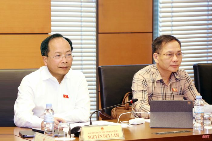 Đồng chí Nguyễn Duy Lâm - Ủy viên Ban Chấp hành Trung ương Đảng, Bí thư Tỉnh ủy, Trưởng đoàn ĐBQH tỉnh Hà Tĩnh và đồng chí Trần Đình Gia - Phó Trưởng đoàn chuyên trách Đoàn ĐBQH tỉnh Hà Tĩnh tham gia phiên thảo luận tổ.