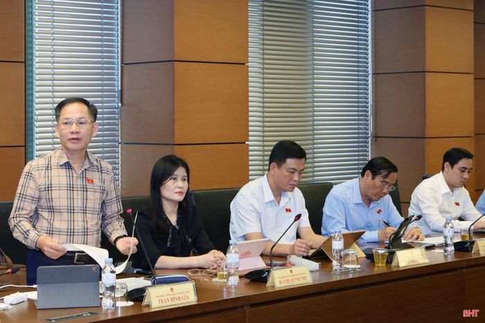 Đại biểu Trần Đình Gia - Phó Trưởng đoàn chuyên trách Đoàn ĐBQH tỉnh Hà Tĩnh tham gia góp ý.