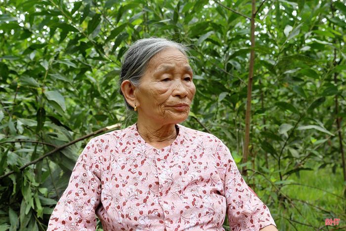Theo lời kể của bà Tô Thị Tình (SN 1948, thôn Hương Châu, xã Hương Bình), trước đây, khi công tác tại Trạm Y tế xã Hương Châu (cũ), bà đã trực tiếp chứng kiến việc chôn cất các liệt sĩ tại khu vực dưới chân đồi tràm thuộc địa phận thôn Hương Châu hiện nay. Qua quá trình xác minh, chính quyền địa phương nhận thấy nguồn tin có cơ sở nên đề xuất Ban Chỉ đạo 515 tỉnh tổ chức tìm kiếm, quy tập.