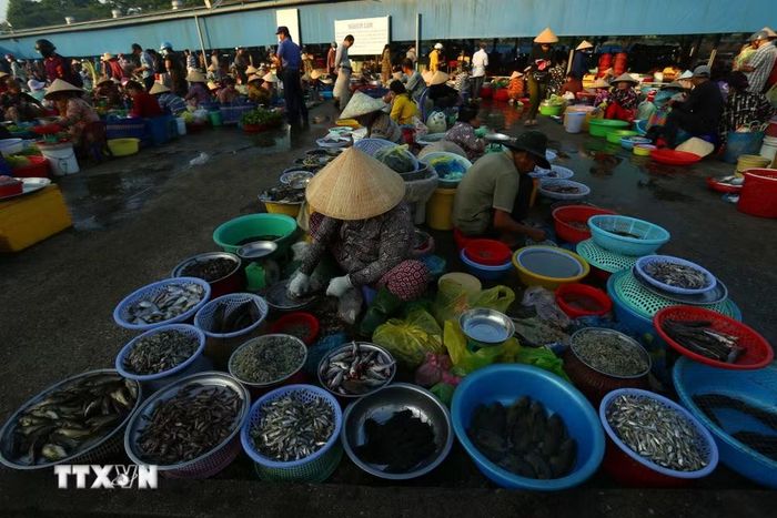 Đặc sản sông nước nơi khu chợ. (Ảnh: Duy Khương/TTXVN)