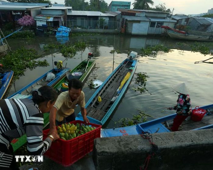 Nét đặc trưng vùng sông nước Đồng bằng sông Cửu Long nơi khu chợ. (Ảnh: Duy Khương/TTXVN)