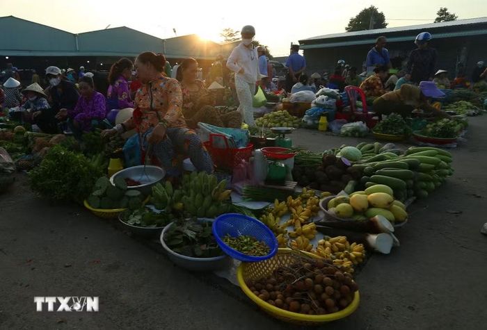 Hàng hóa ở chợ chủ yếu là “cây nhà lá vườn” như rau đồng, trái cây trong vườn người dân trồng được đem ra chợ bán. (Ảnh: Duy Khương/TTXVN)