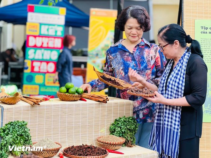 Người dân Thủ đô tìm hiểu về các loại gia vị nấu món phở. (Ảnh: Xuân Mai/Vietnam+)