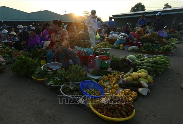 Hàng hóa ở chợ chủ yếu là “cây nhà lá vườn” như rau đồng, trái cây trong vườn người dân trồng được đem ra chợ bán…