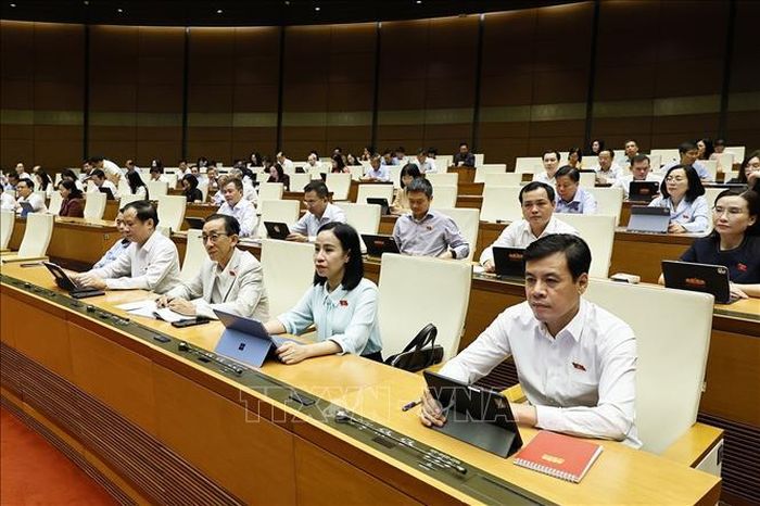 Đại biểu dự phiên họp. Ảnh: Doãn Tấn/TTXVN