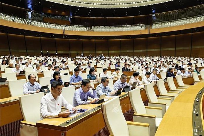 Đại biểu dự phiên họp. Ảnh: Doãn Tấn/TTXVN