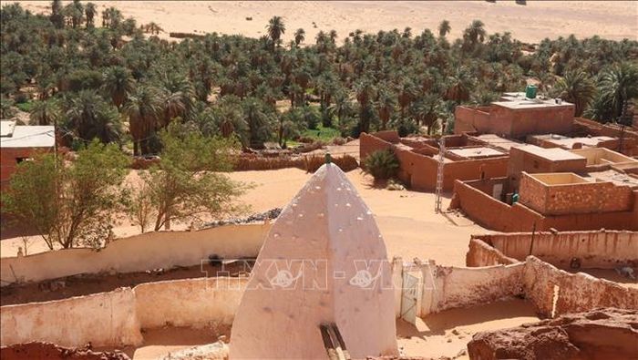 Một ốc đảo trên sa mạc Sahara. Ảnh: Mạnh Hùng/PV TTXVN tại Algeria