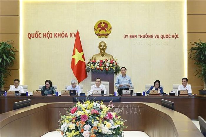 Phó Chủ tịch Quốc hội Nguyễn Khắc Định phát biểu, chiều 4/8. Ảnh: Doãn Tấn/TTXVN