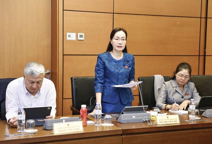Đại biểu Đỗ Thị Việt Hà - Ủy viên là ĐBQH hoạt động chuyên trách tại Ủy ban Pháp luật và Tư pháp phát biểu. Ảnh: Doãn Tấn/TTXVN