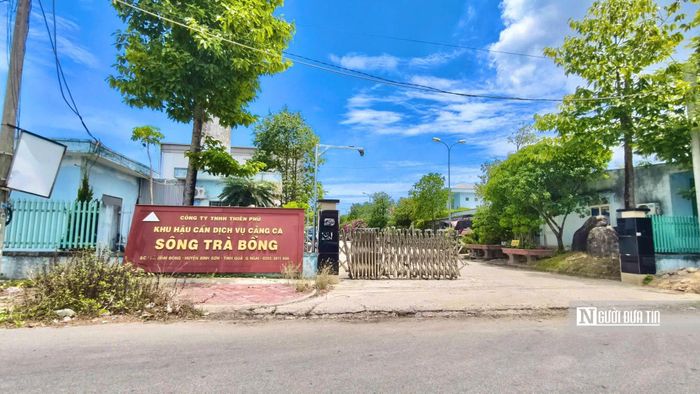 Khu hậu cần dịch vụ cảng cá sông Trà Bồng được đầu tư quy mô 185 tỷ đồng.