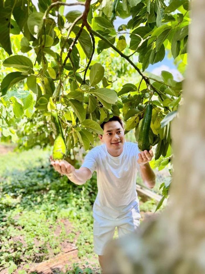 Khu vườn nhà anh trồng nhiều cây ăn trái. Ảnh FBNV.