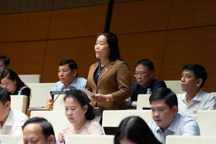 ĐBQH Lê Thị Thanh Lam (Ảnh: Media Quốc hội).