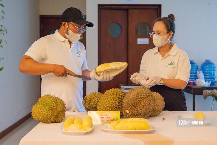 Đông đảo KOL, KOC tham gia lan tỏa sự kiện trên các nền tảng.