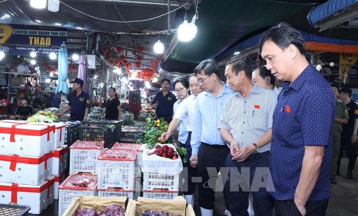 Các đại biểu thành viên đoàn giám sát của HĐND Thành phố Hồ Chí Minh khảo sát mặt hàng trái cây tại chợ Bình Điền. Ảnh: Đinh Hằng - TTXVN 