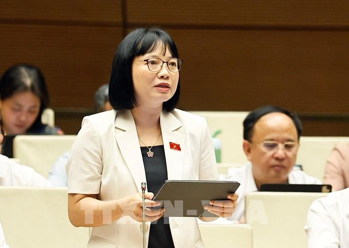 Đại biểu Quốc hội TP Hải Phòng Nguyễn Thị Việt Nga phát biểu. Ảnh: Doãn Tấn - TTXVN