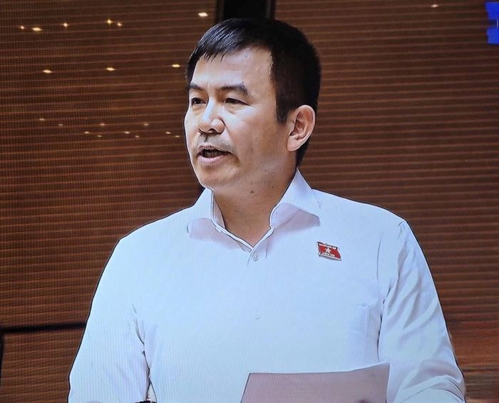 Đại biểu Nguyễn Trung Kiên (Đoàn Đồng Nai). Ảnh: Bích Hồng/Bnews/vnanet.vn
