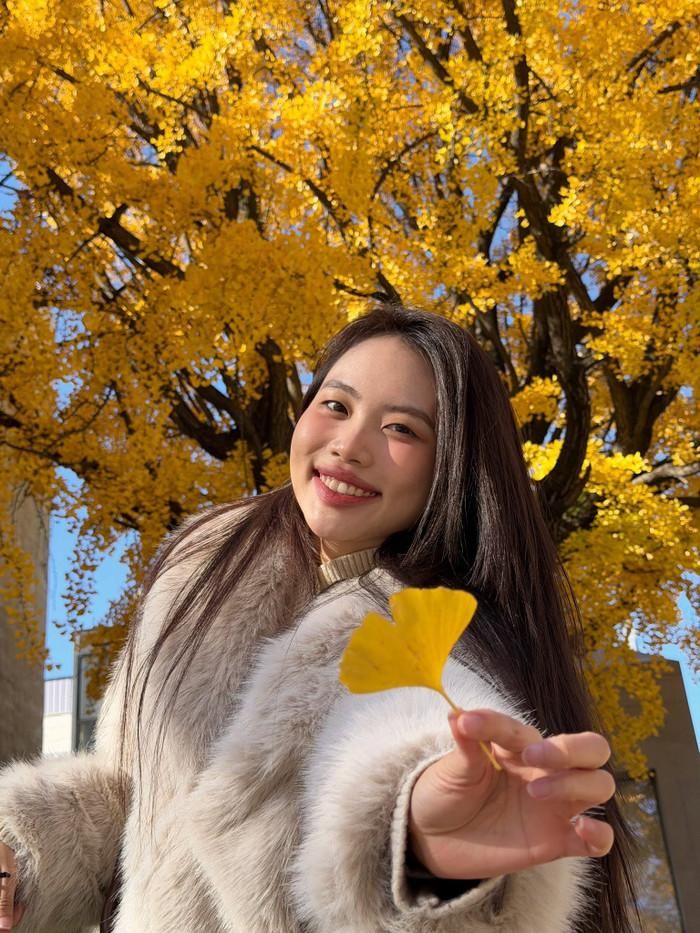 Nhiều khán giả cho rằng đây có thể là tín hiệu Phương Mỹ Chi sắp comeback.