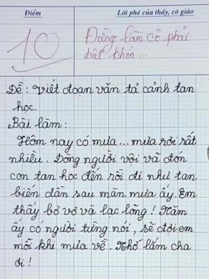 Bài văn tiểu học đạt điểm 10, gây xúc động cho người chấm bài.
