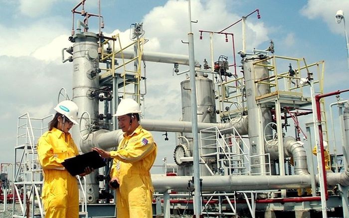 Tỷ lệ lao động nữ tại các tập đoàn năng lượng cốt lõi như Petrovietnam hay EVN hiện duy trì ở mức 20% - 24%.