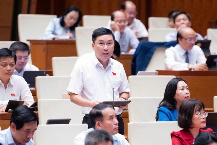 Đại biểu đoàn Gia Lai Lê Hoàng Anh, Ủy viên chuyên trách Ủy ban Kinh tế và Tài chính của Quốc hội