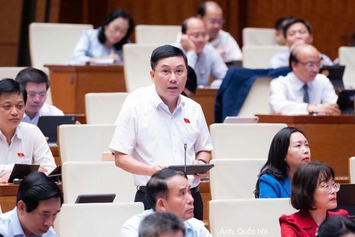 Đại biểu Lê Hoàng Anh - đoàn Gia Lai