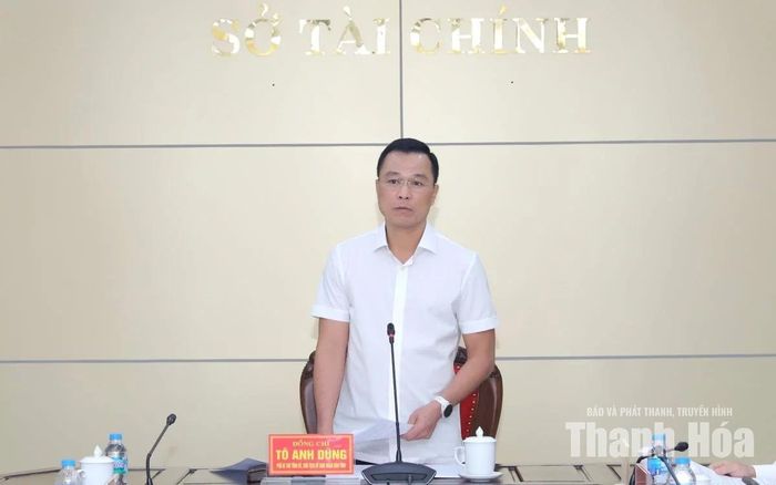Chủ tịch UBND tỉnh Tô Anh Dũng phát biểu chỉ đạo tại buổi làm việc.