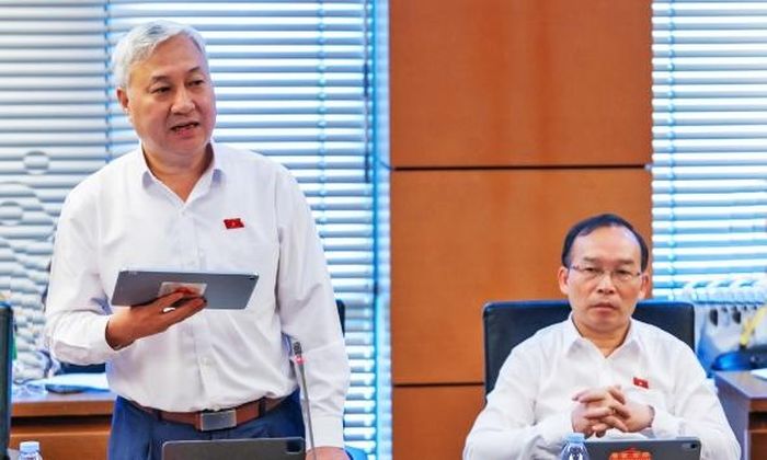  Đại biểu Trần Văn Lâm phát biểu ý kiến tại tổ. 