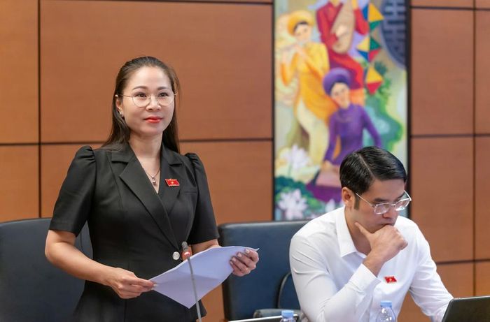  Đại biểu Nguyễn Thị Quý phát biểu ý kiến. 