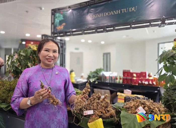 Các cơ sở sản xuất, kinh doanh giới thiệu sản phẩm tại Lễ hội Sâm Ngọc Linh và Dược liệu quốc tế Đà Nẵng 2026. Ảnh: ĐỨC DUY
