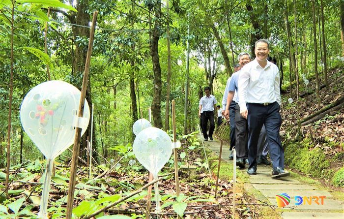 Chủ tịch UBND thành phố Nguyễn Mạnh Hùng dẫn đầu đoàn công tác đến khảo sát vùng trồng sâm Ngọc Linh. Ảnh: ALĂNG NGƯỚC