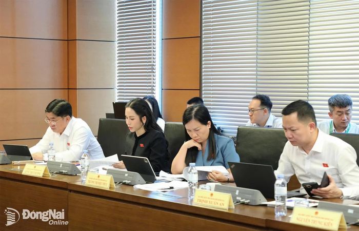 Các đại biểu Quốc hội thành phố Đồng Nai tham dự Phiên thảo luận tổ chiều 3-8. Ảnh: CTV
