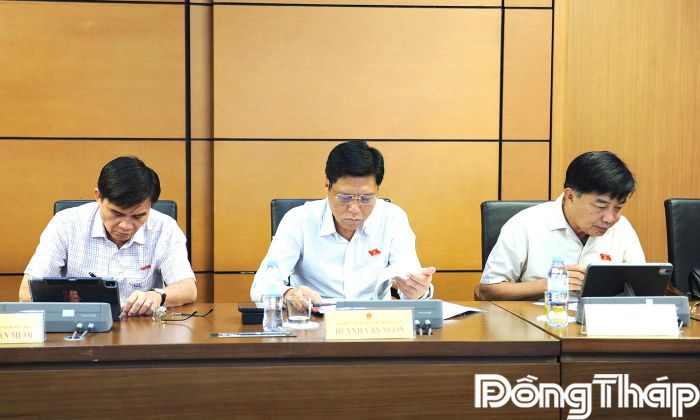ĐBQH tỉnh Đồng Tháp tham gia phiên thảo luận tại tổ.