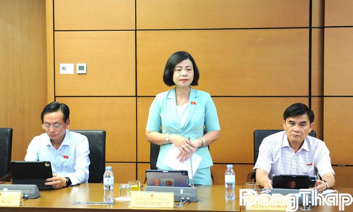 Đại biểu Nguyễn Thanh Cầm phát biểu thảo luận.