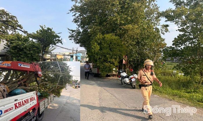 Trường hợp xe quá khổ giới hạn bị lực lượng Cảnh sát giao thông lập biên bản.