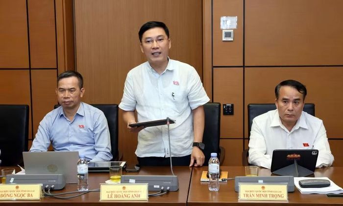  ĐB Lê Hoàng Anh đề nghị tiếp tục hoàn thiện một số quy định để tránh phát sinh khoảng trống pháp lý. Ảnh: Đoàn ĐBQH tỉnh Gia Lai 