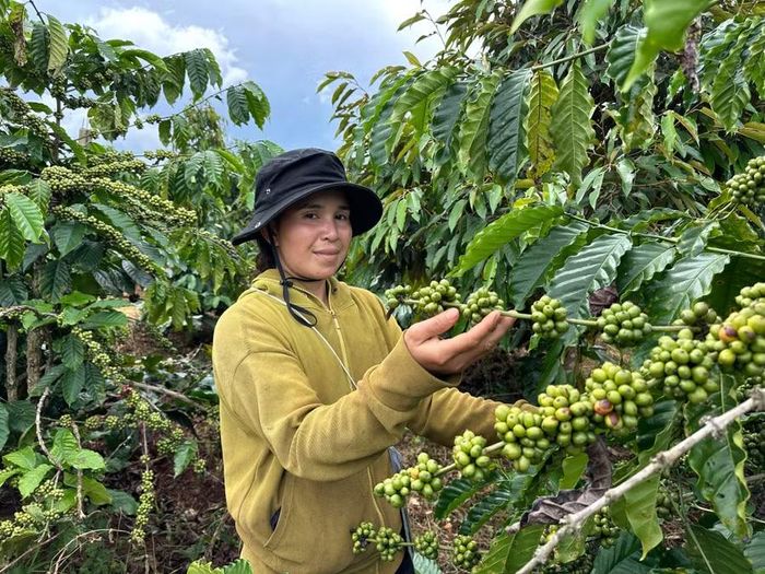 Chị Ksor H’Chel (làng Hlang, xã KDang) phát triển kinh tế gia đình hiệu quả nhờ thay đổi tư duy sản xuất. Ảnh H.D